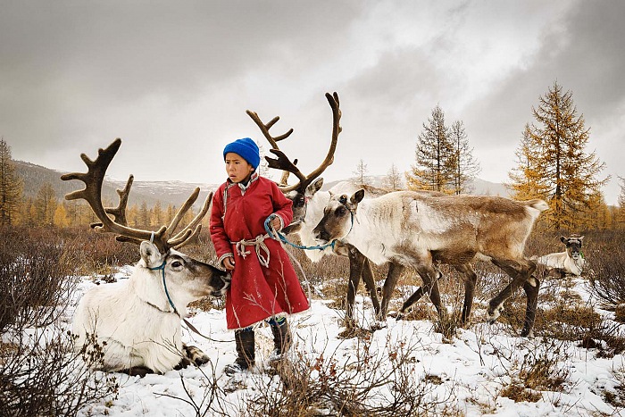 Pehuen Grotti, The child and the reindeers.  Pehuen Grotti, France, Entry, Open, Travel (Open competition), 2018 Sony World Photography Awards.