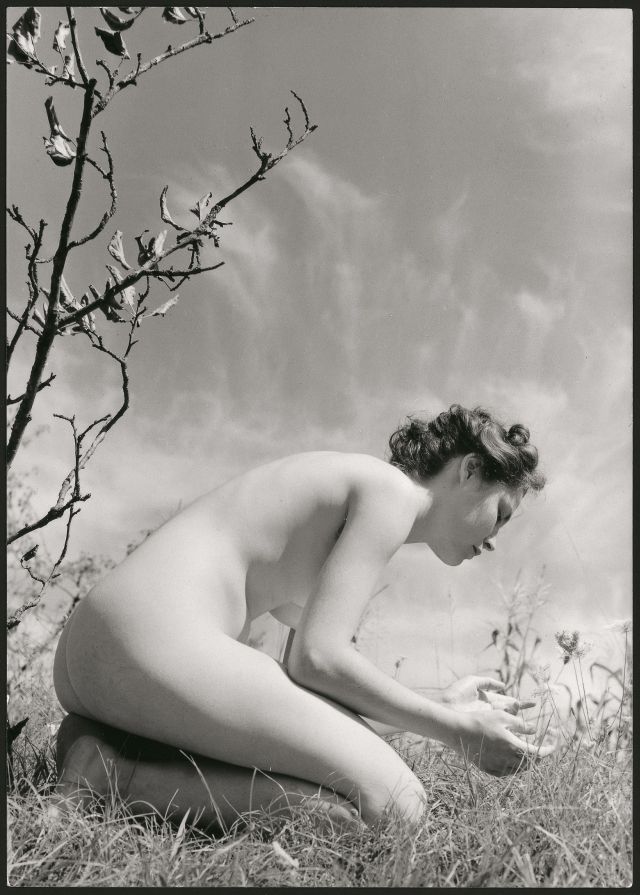 Fulvio Roiter, Senza titolo (nudo n. 5),  Archivio Storico Circolo Fotografico La Gondola Venezia.