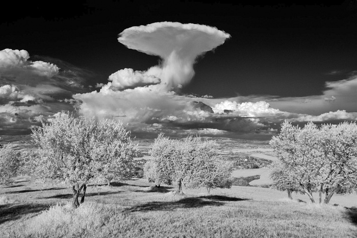 Dalla mostra La nuvola perfetta di Mario Vidor.  Mario Vidor.