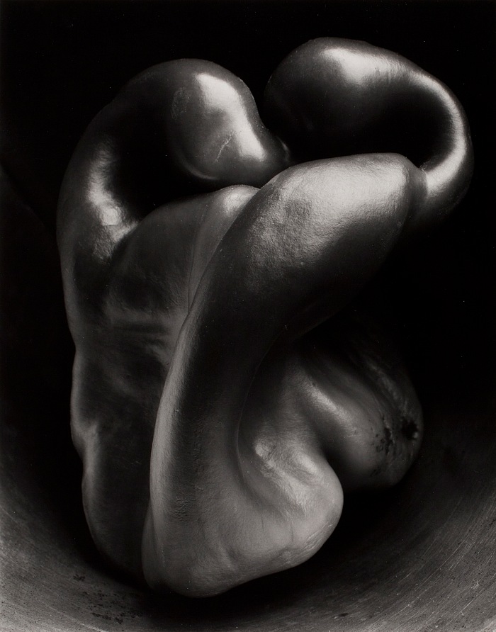 Edward Weston, Pepper, 30P, 1930. Stampa alla gelatina dargento, 23,5x19cm.  1981 Center for Creative Photography, Arizona Board of Regents
