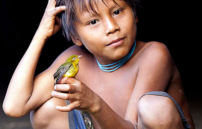 Luigi Repetto, Un giovane yanomami del Brasile.  Luigi Repetto. L'immagine compare sul calendario 2017 di Survival International, mese di febbraio