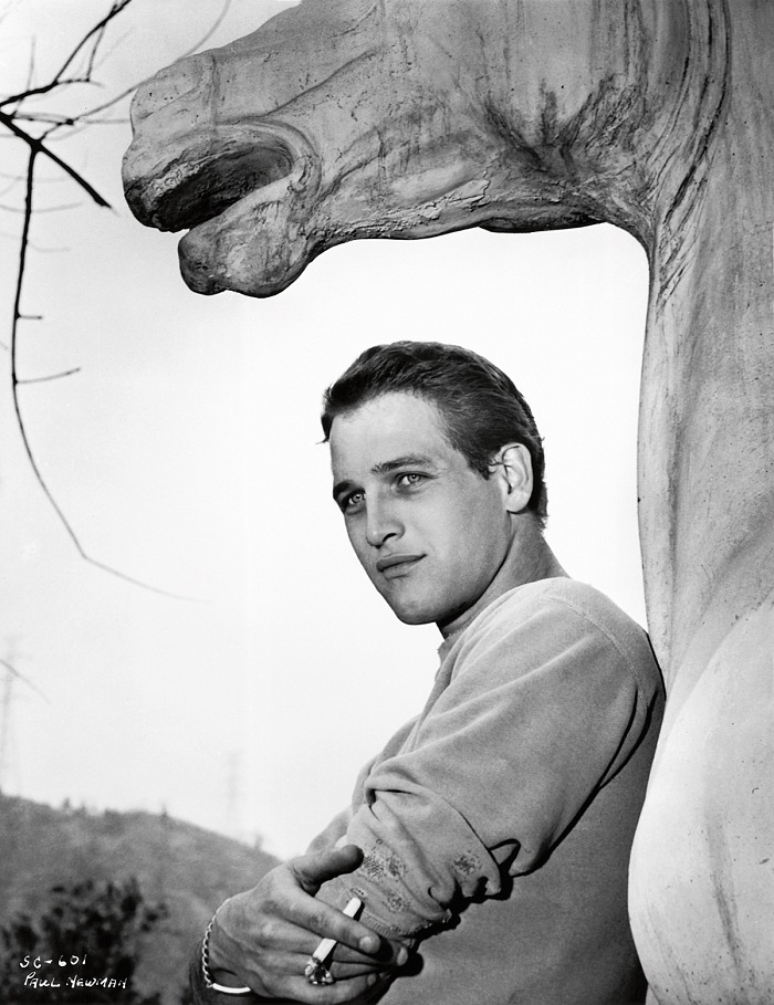 Paul Newman by Bert Six, 1954. Warner Bros.  John Kobal Foundation.
