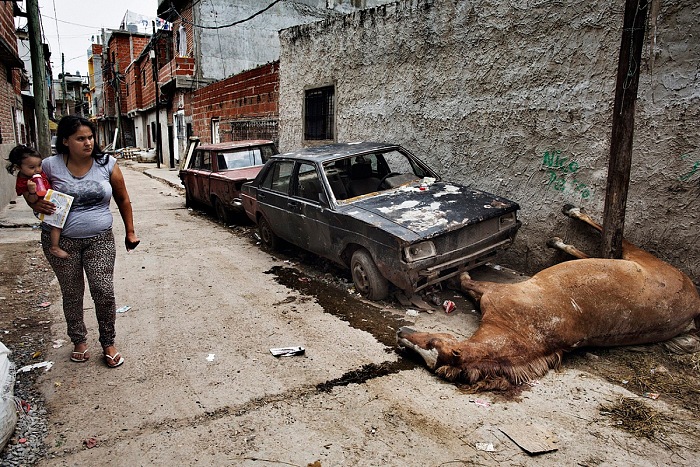 Valerio Bispuri, Buenos Aires, 2015. A villa Lugano un cavallo  stato ucciso durante la notte in uno scontro a fuoco tra narcotrafficanti.  Valerio Bispuri