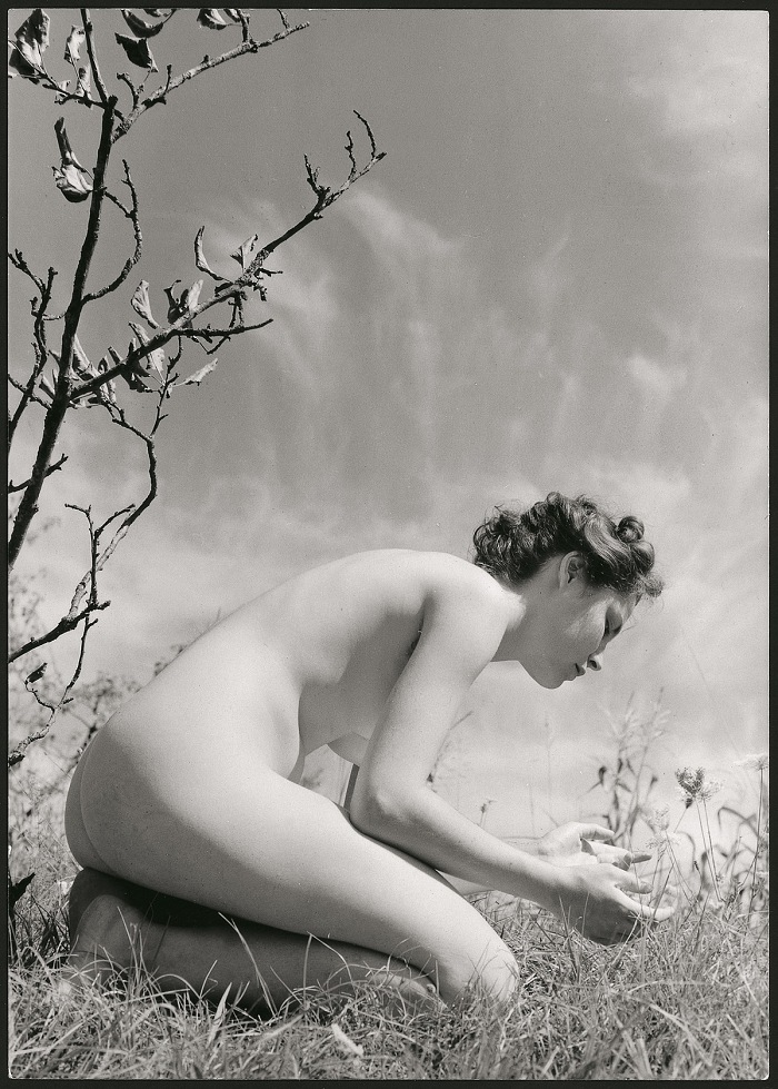 Fulvio Roiter, Nudo n. 5.  Archivio Storico Circolo Fotografico La Gondola Venezia