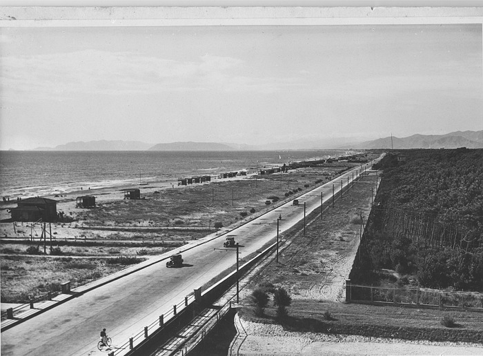Il viale a mare tra spiaggia e pineta, Forcette, 1936.  Ettore Cortopassi