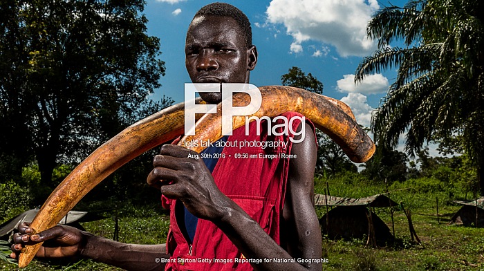 From the exhibition La guerre de l'ivoire by Brent Stirton, exposed at 28e dition du Festival International du Photojournalisme Visa pour l'image, Perpignan 2016. Nzara, South Sudan, November 2014. Michael Oryem, a former Lords Resistance Army fighter, with two elephant tusks after he led authorities to their location in the Central African Republic. The LRA and other rebel groups have increasingly turned to ivory poaching as a source of funding. Foto:  Brent Stirton/Getty Images Reportage for National Geographic.