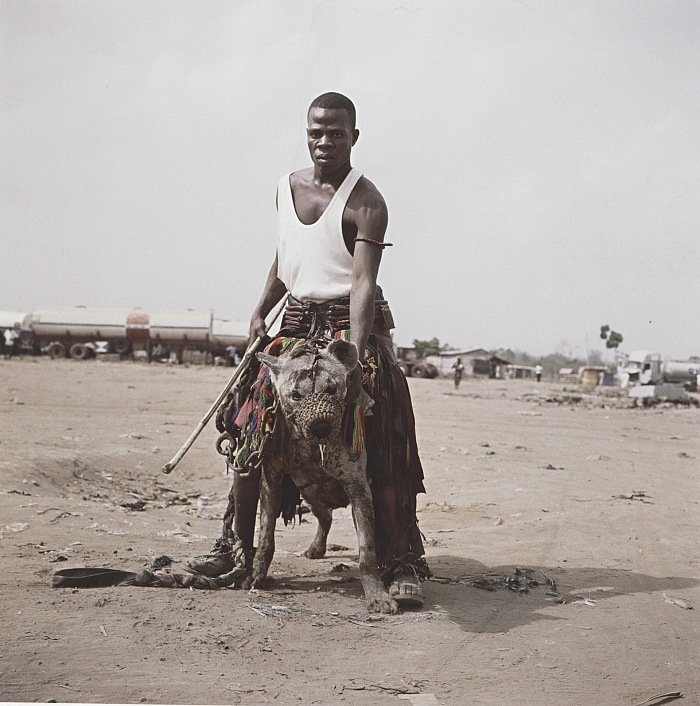 Pieter Hugo, Abdullahi Mohammed with Gumu, Ogere-Remo, Nigeria, 2007. Dalla serie Gadawan Kura  The Hyena Men Series II. C-print, 172,5✕172,5cm.  Pieter Hugo