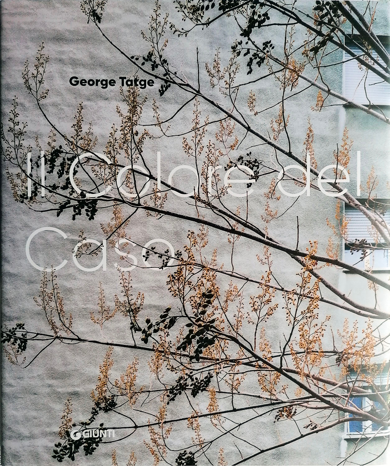 George Tatge, Il Colore del Caso, Giunti Editore, Milano, 2019