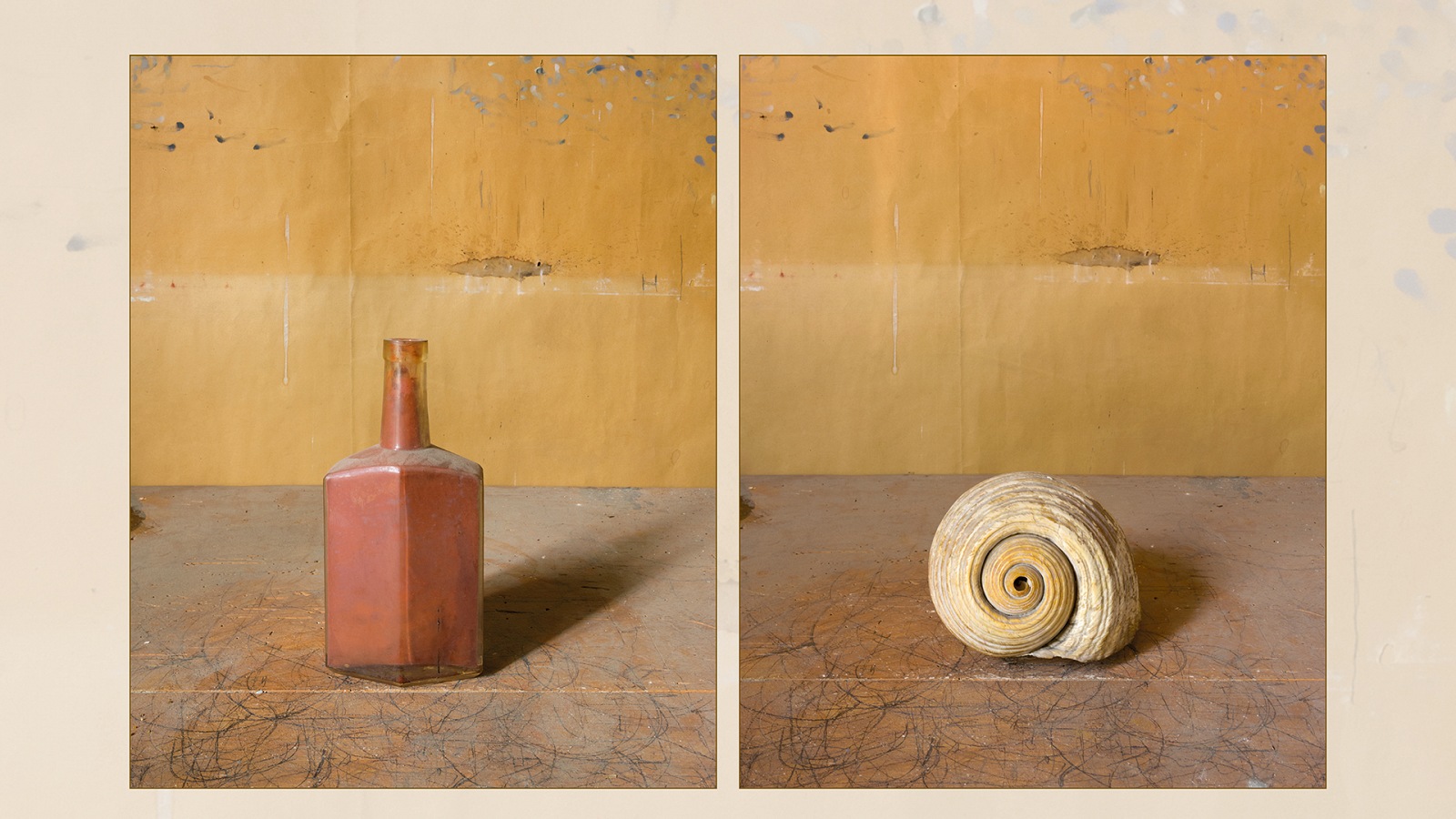 Morandi's Objects by Joel Meyerowitz