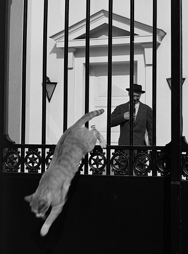 Sabine Weiss, Flix Labisse, pittore e decoratore, Neuilly-sur-Seine, 1952.  Sabine Weiss,