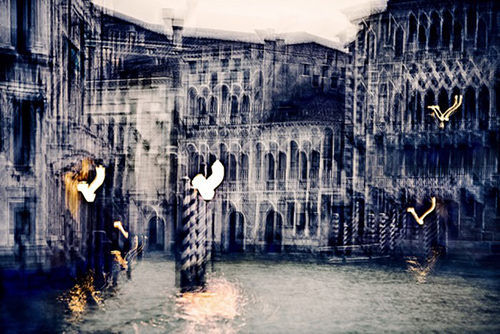 Giudecca Fotografia 2016