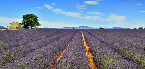 La forza dei colori