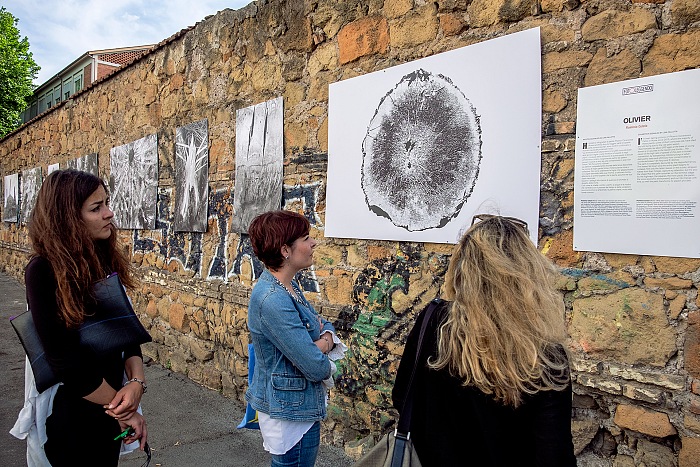 FotoLeggendo 2016, la mostra Olivier di Flamina Celata esposta in via Libetta.  FPmag