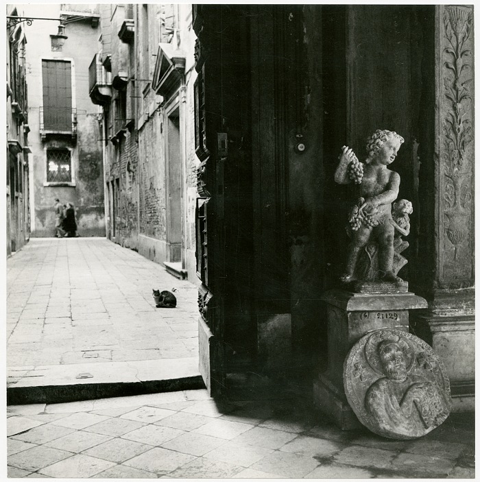 Venezia.  Paolo Monti