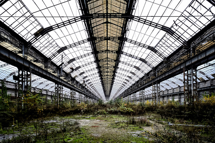 Dalla mostra PACHAMAMA - La natura si riprende i suoi spazi, a cura del Gruppo FaceBook Manicomio Fotografico Urbe Soul.  Manicomio Fotografico Urbe Soul