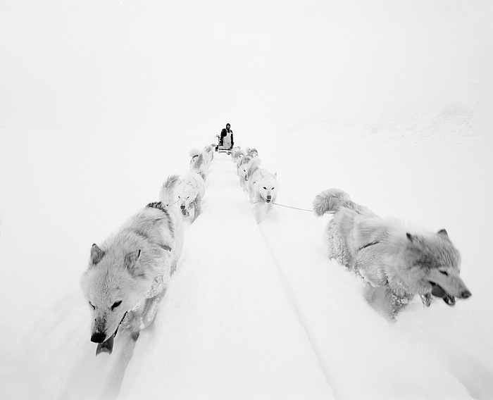 Paolo Solari Bozzi, Sermilik Fjord, Groenlandia, 2016.  Paolo Solari Bozzi