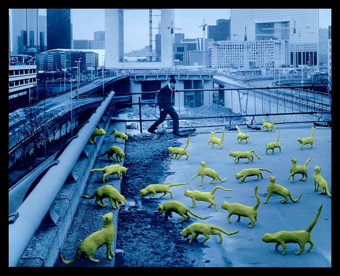 Sandy Skoglund, Cats in Paris. Collezione Paolo Clerici.  Sandy Skoglund