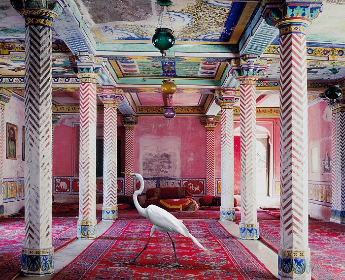 Karen Knorr, India Song. Voler vers la libert, Dungarpur, Inde dalla mostra Fables in esposizione in rue Saint Vincent nell'ambito di Festival Photo La Gacilly 2018.  Karen Knorr.