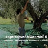 #AgricolturAMOdomio16