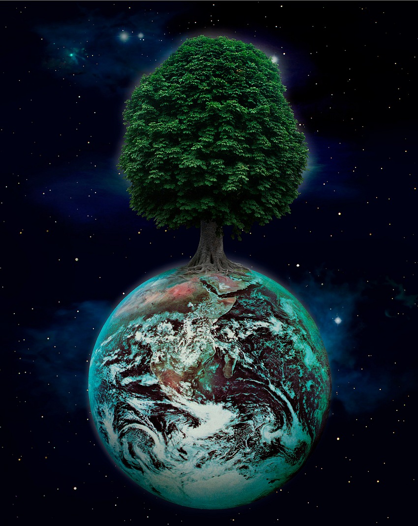 Giovanni Ziliani, Albero sul mondo/ Tree on The World.  Giovanni Ziliani.