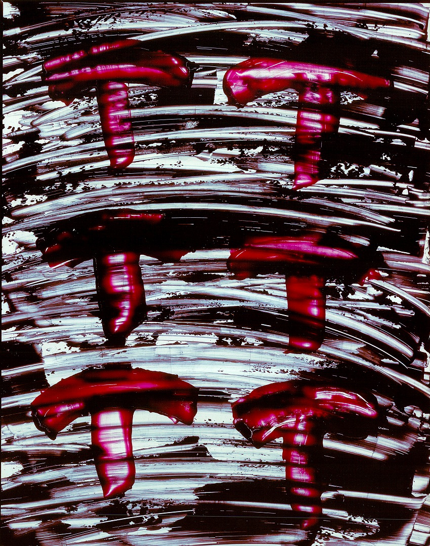 Jack Sal, No Title #5, 1985, cibachrome made from an acrylic on plexiglass.  Jack Sal.
