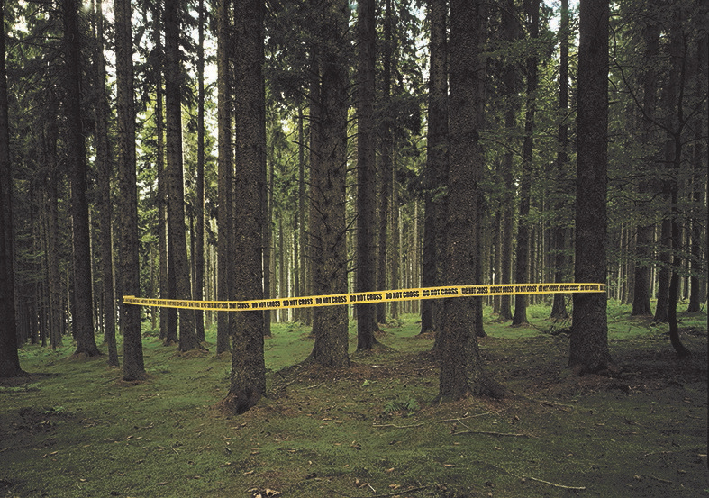 Moreno Gentili, da DO NOT CROSS, Aix-en-Provence, 2004.  Moreno Gentili.
