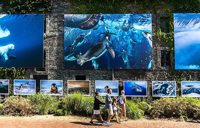 Un momento della visita alla mostra Sous les glaces, steignent les espces di Paul Nicklen.  FPmag.