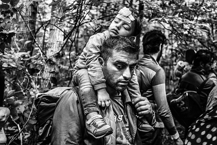In un bosco tra Serbia e Ungheria. Dal reportage In viaggio con i migranti.  Maurizio Faraboni.