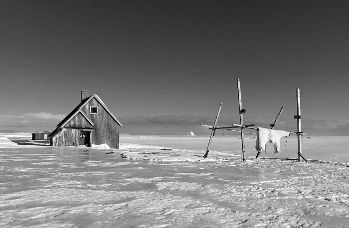 Paolo Solari Bozzi, Kap Hope, Scoresbysund, East Greenland, 2016. Dalla serie Greenland Into White.  Paolo Solari Bozzi
