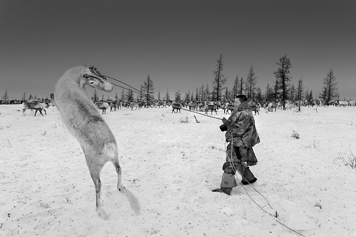 Ragnar Axelsson, Nenets, Siberia, 2016.  Ragnar Axelsson