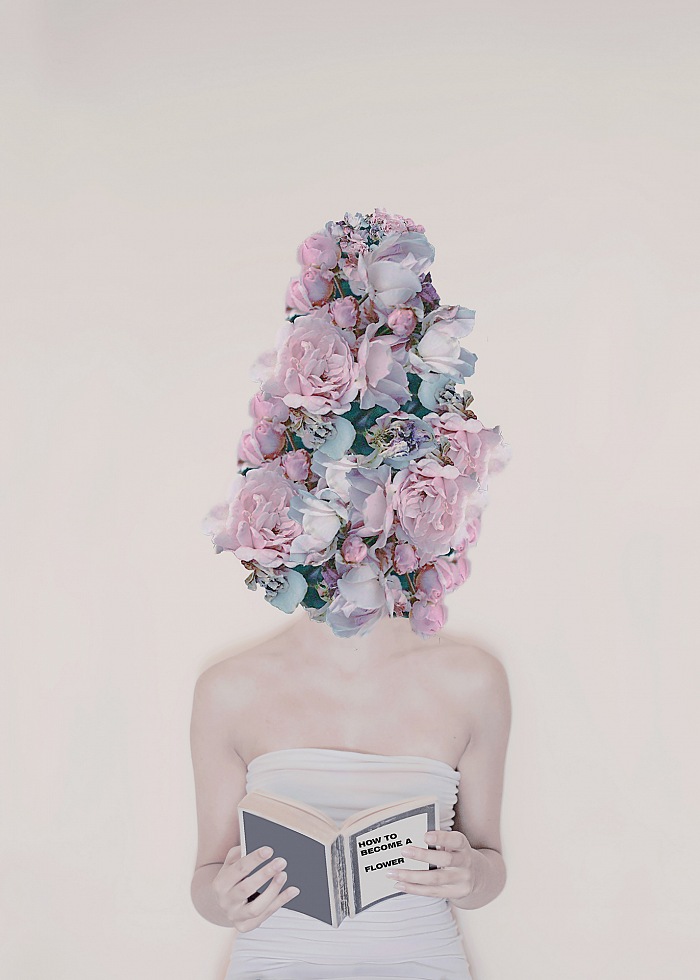 Flowers.  Erika Zolli