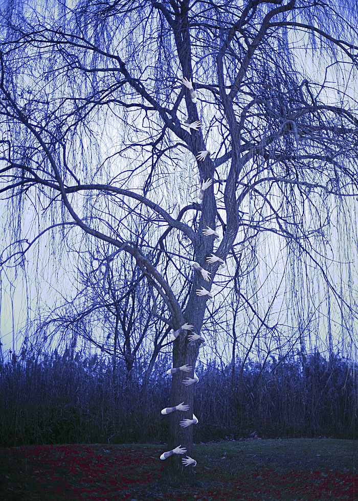 Hug me.  Erika Zolli