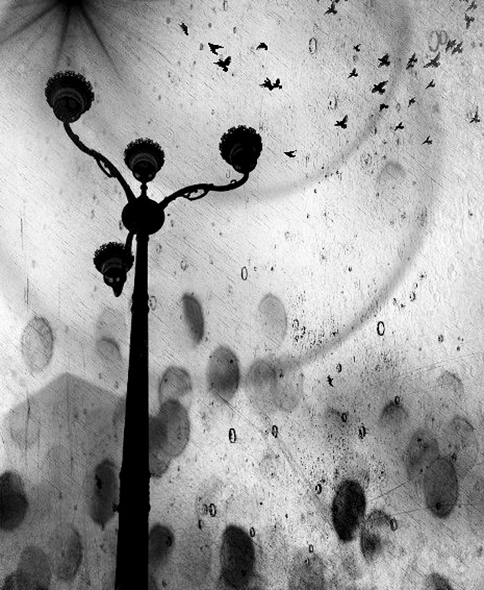  Massimiliano Balo', Italy, Shortlist, Open, Still Life, 2017 Sony World Photography Awards