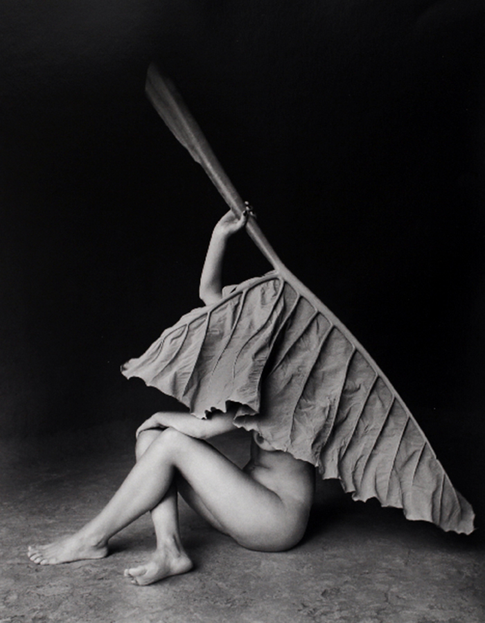  Flor Garduo