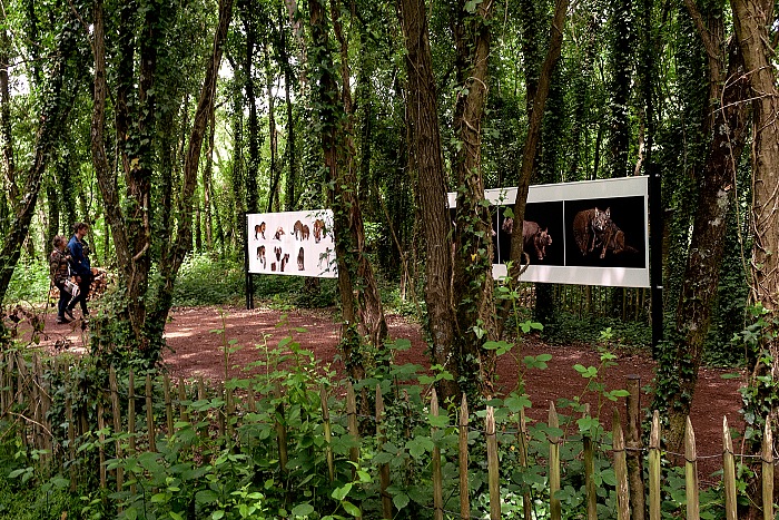 L'allestimento della mostra L'Arche photographique presso il Labyrinthe vgtal a La Gacilly in occasione di Photo Festival La Gacilly 2017.  Stefania Biamonti/FPmag.