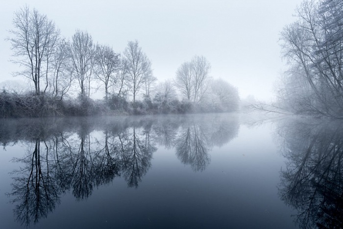 Emmanuel Berthier, Lhiver sur les marais de Glnac. La nature est fige par le froid.  Emmanuel Berthier.