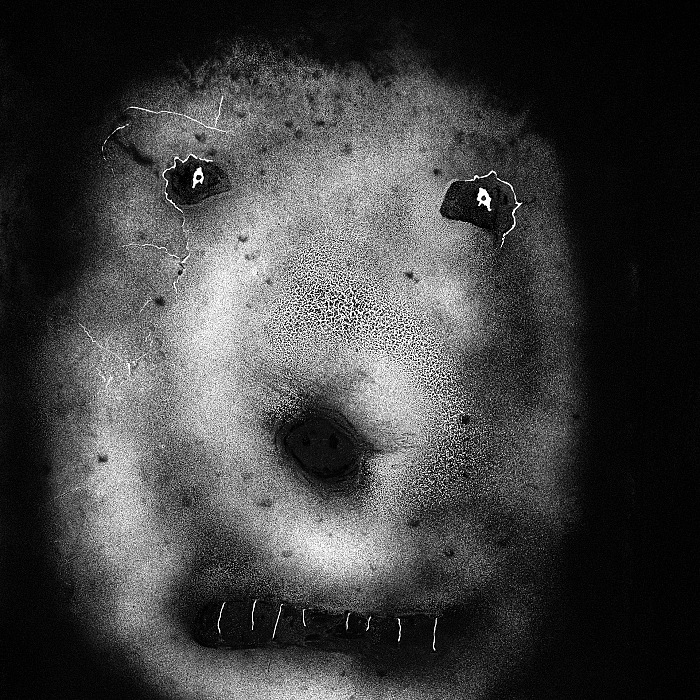 Roger Ballen, Piquant, srie Le Thtre des apparitions, 2007.  Rencontres Arles.