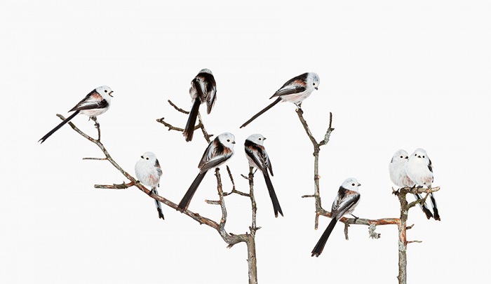 Sanna Kannisto, Days of Departure III, 2015. Pigment ink print, 78x135 cm.  Sanna Kannisto. Courtesy Metronom