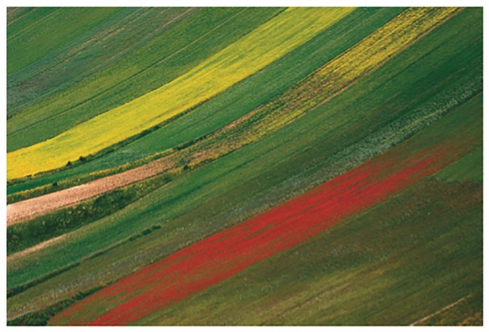 Franco Fontana, Marche, 1999, 30x45cm.  Franco Fontana