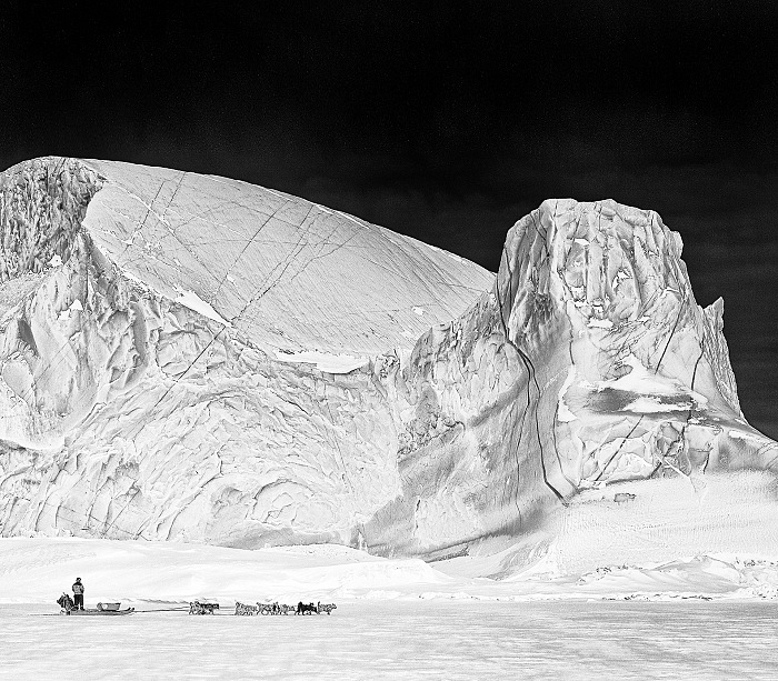 Carsten Egevang, Scoresbysund, Groenlandia, 2012.  Carsten Egevang
