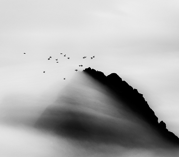 Carsten Egevang, Thule, Groenlandia, 2014.  Carsten Egevang