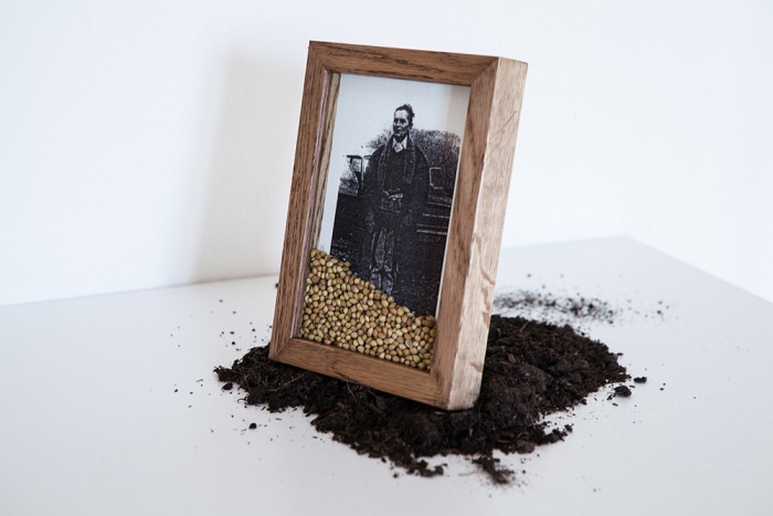 Silvia Bigi, Vergine Giurata #1 (installation view), 2017. Dalla serie L'albero del latte. Installazione: stampa inkjet su dibond, cornice in rovere, vetro museale, semi e terra, dimensioni variabili. Cornice: 20x30 cm.  Silvia Bigi