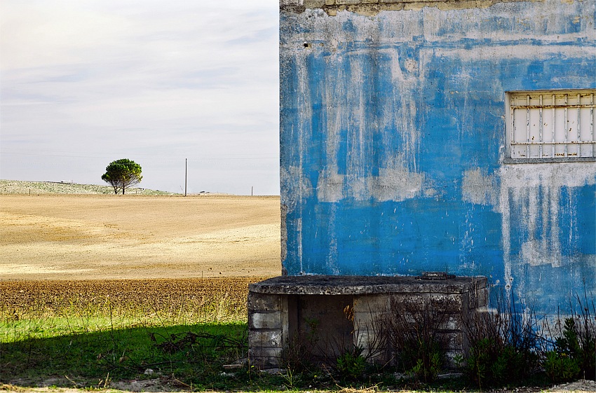 Ferdinando Sapienza, La casa blu.  Ferdinanso Sapienza.