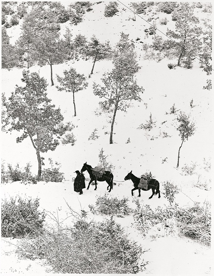 Fulvio Roiter, Ombrie, Terre de Saint-Franois, Norcia, 1955.  Fondazione Fulvio Roiter