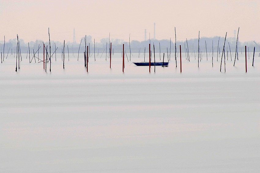 Luca Cortese, dalla serie Laguna onirica.  Luca Cortese.