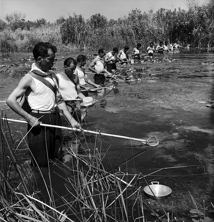 Wolfgang Suschitzky, Campagna per l'eradicazione della malaria in Sardegna, 1946-1950. Courtesy Istituto Superiore Regionale Etnografico, Fondo Suschitzky