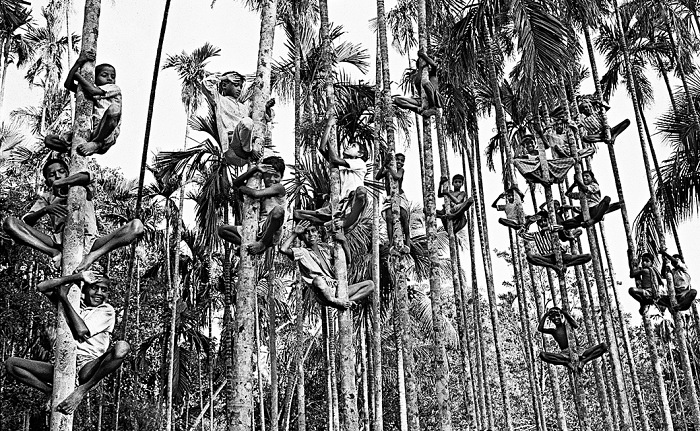 Romano Cagnoni, Bangladesh, 1971.  Romano Cagnoni.