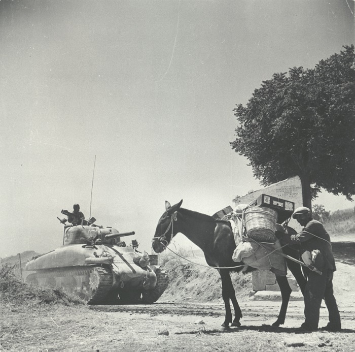 Robert Capa, Asinello e carro armato, 1943