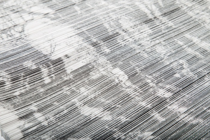 Giorgio Tentolini, Fallen, 2016. Stampa laser su circa 5400 strisce di carta bianca, 105x42 cm