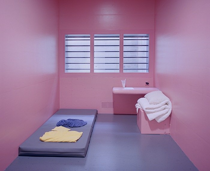Angélique Stehli, Pink Cells. © Angélique Stehli.